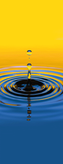 [Obrazek: baner-IVkonkurs.gif]